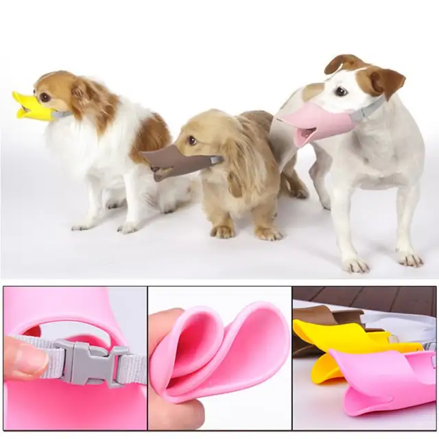 dog respirator mask dog respirator mask