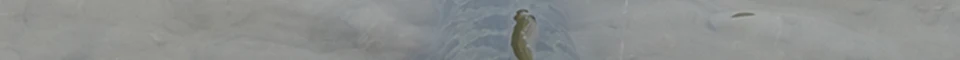 eng_46