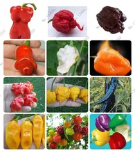 24 kinds 200 vegetable fruit pepper seeds, Giant chili seeds + sweet pepper + Carolina Reaper” + hot chilli bonsai plant potted