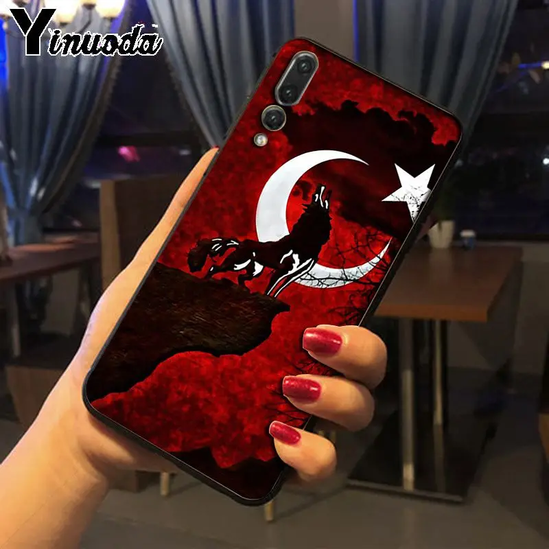Flag of Istanbul Turkey wolf