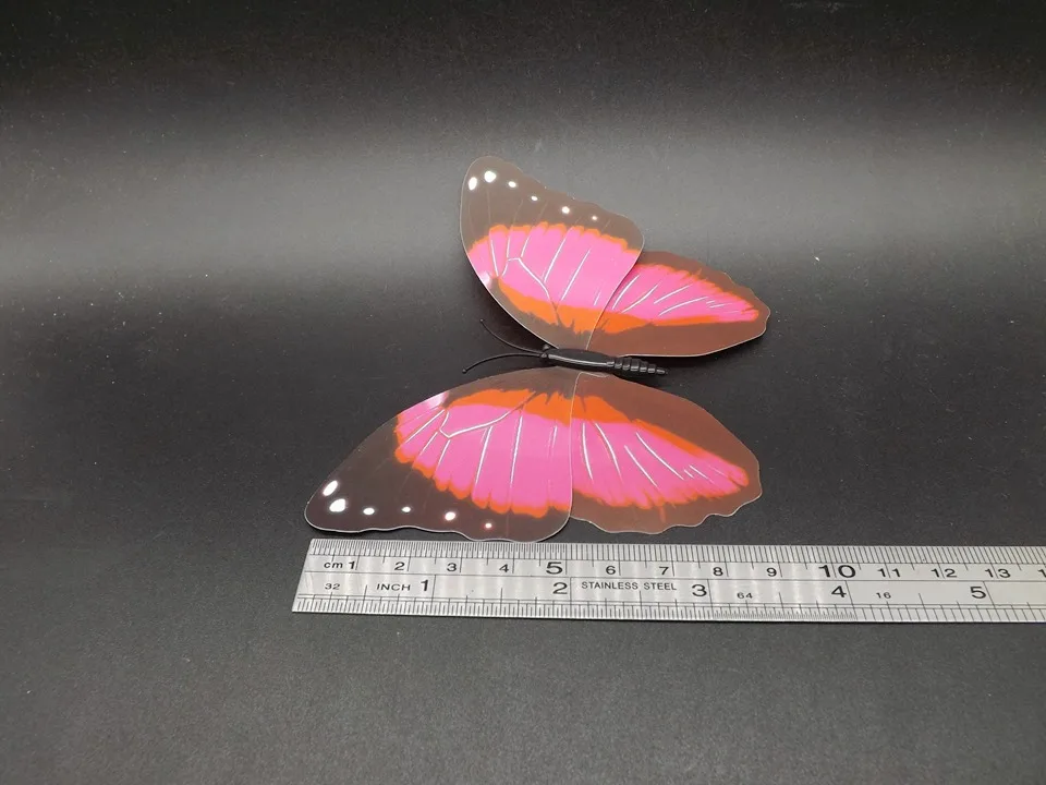 I235-Butterfly (10)