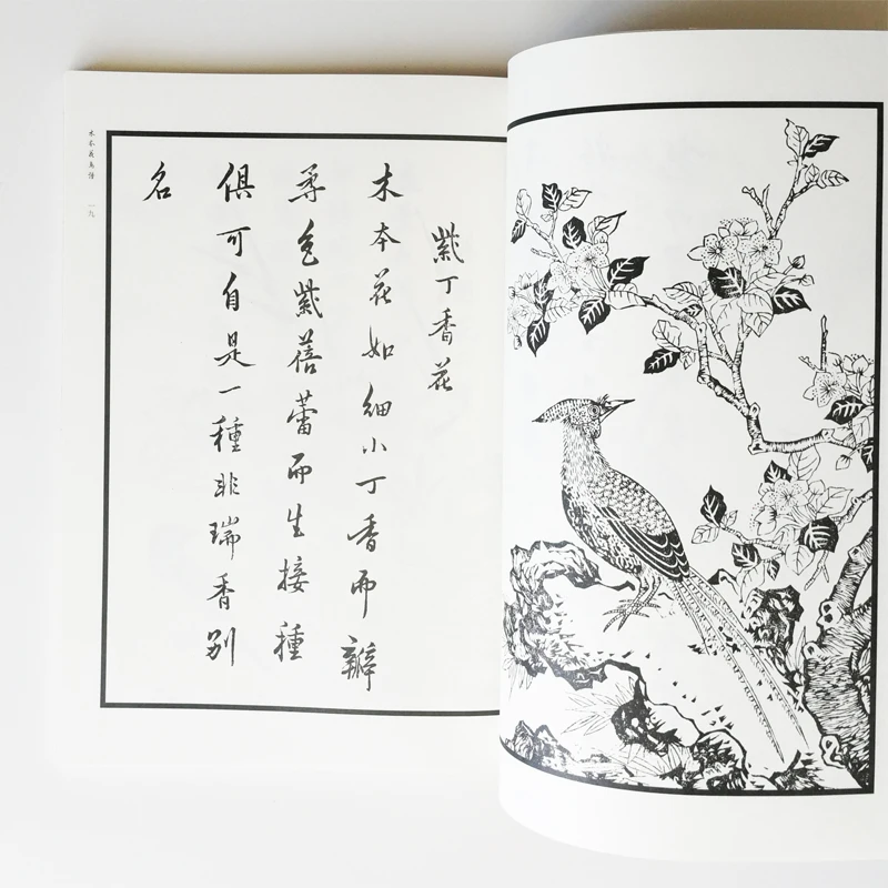 Китайский древних печатных руководство Jiyazhai-цветок и птица Хуан Fengchi(династии Мин) книги по искусству учебник раскраска для взрослых