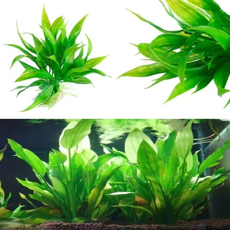 Hot Sale Artificial Grass 15cm Height Plastic Manmade Water Plant Green Grass For Aquarium Decoration