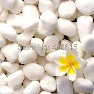 

White Small Stones Garden Decoration Hydroponic Plants Flower Pot White Stone Gardening Supplies Garden Decor 100g