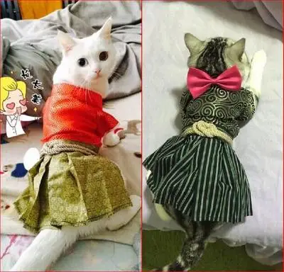 

Three styles Spring and summer loaded Buffy pet pet warrior kimono cat small dog clothes samurai changed body pet kimono