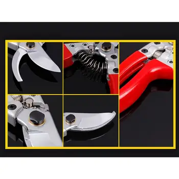 

Professional Sharp Bypass Pruning Shears Tree Trimmers Secateurs Hand Pruner Garden Shears Clippers