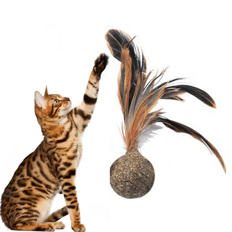 

Cat Toy Catnip Ball Feather Shuttlecock Pet Cat Chewing Healthy Interactive Tease Toy Healthy and Non-toxic Toys For Kittens
