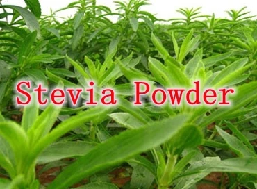 

Nature Sweet Stevia Powder RA98%,Rebaudioside A 98% ,zero carlon,450 times sweetness,no bitter taste,200gram/lot free shipping