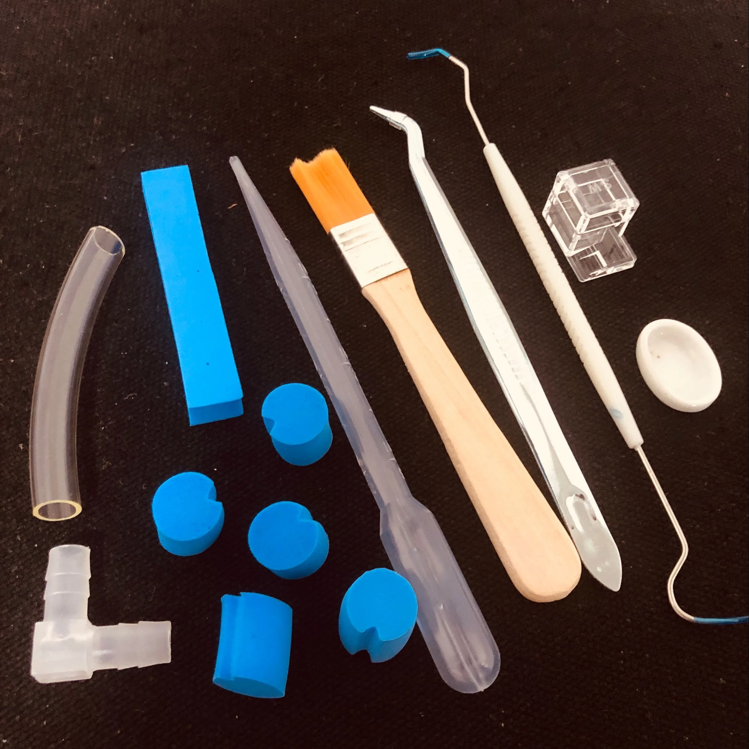 10 In 1 Set Acrylic Ant Farm Tools Pet Anthill Ants House Supplies Ant