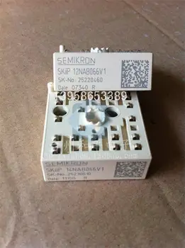 

SKIIP14NAB066V1