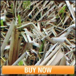 Черная и белая вода волна стиль переводная вода печать пленка для иммерсионной печати 0,5 м ПВА пленка HFJ0235