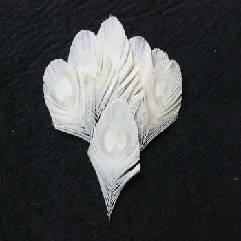 

10pcs Real Peacock Feather Trimmed white peacock eye costumes Necklace earrings accessories wedding Decorative 8-12cm