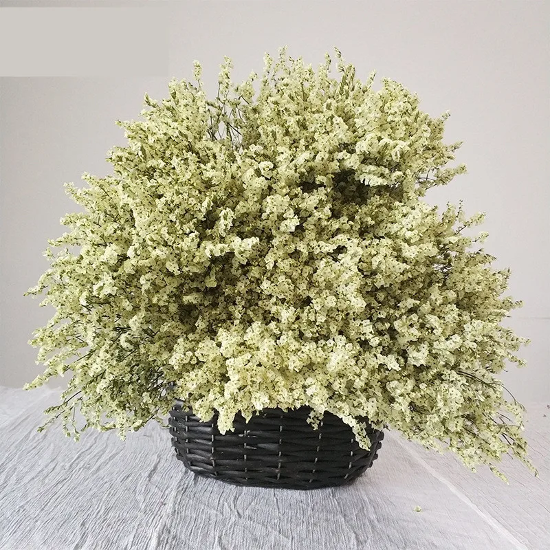 Preserved Fresh Dried Crystal Grass Branch For Wedding Home Party Holiday Decorate DIY Bouquet Project Accessory SAD71 (1)