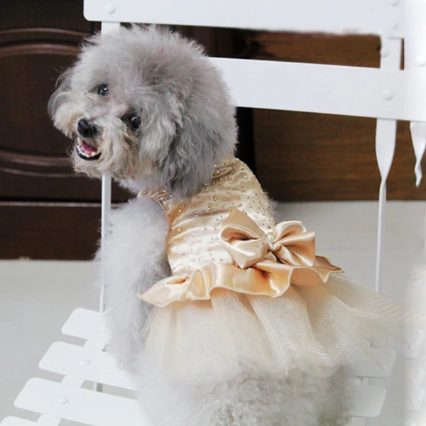 Платья принцессы для собак яркая Одежда для собак платье-пачка принцессы с бантом кружевная юбка для свадебной вечеринки одежда для домашних животных - Цвет: Серебристый