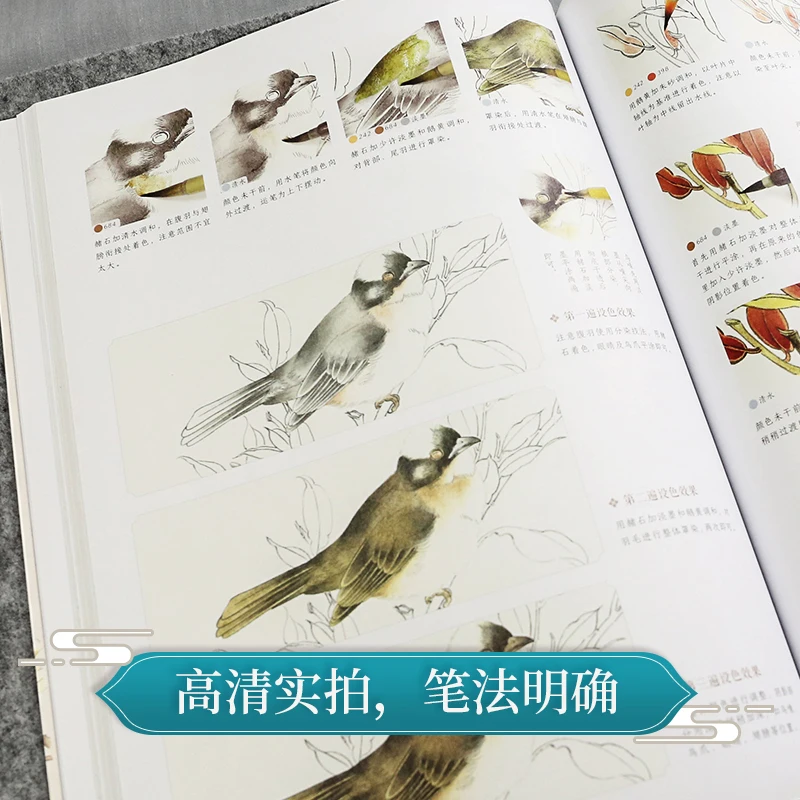 Nejnovější 2pcs/set meticulous květin a ptactva z nástup na mistr začátečník Čínské malba basics kniha
