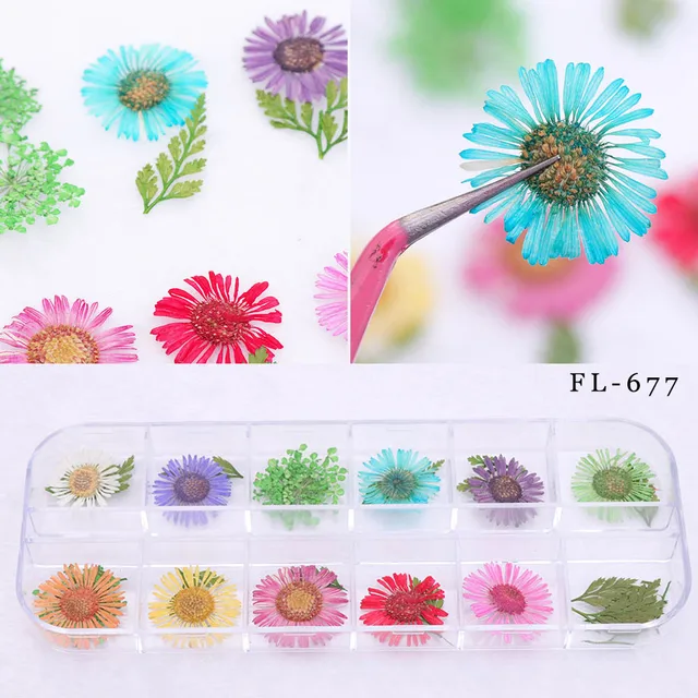 12 color nail art nature dry flowers set gel polish tip 3d diy floral 12 color nail art nature dry flowers set gel polish tip 3d diy floral