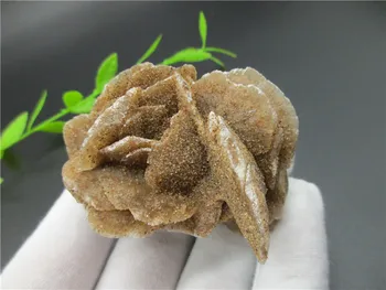 

100% Natural DESERT ROSE Crystal Stone Specimen Selenite Crystal Healing Stone Gypsum Flower Table Decor