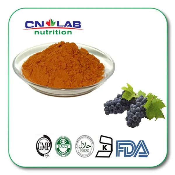 95% OPC UV grape seed extract oligomeric proanthocyanidins