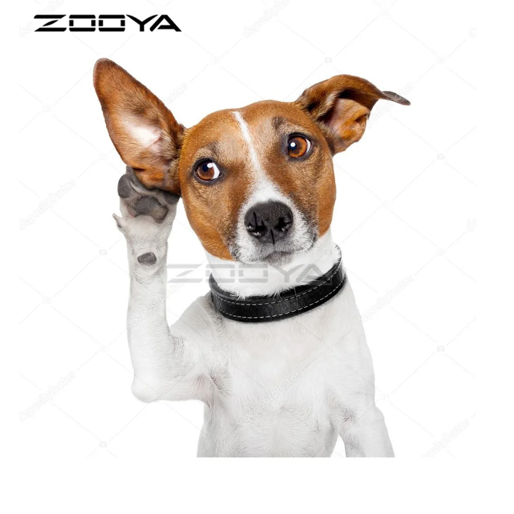 2068  