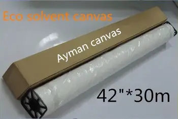 

42"*30m Inkjet Polyester Canvas 260g Image Printing Glossy Eco Solvent Canvas