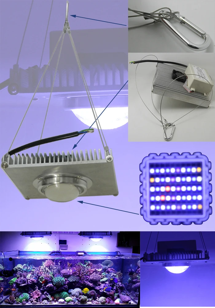 DIY100w auqarium led light 100w Corals reef grow lights,Golden dragon