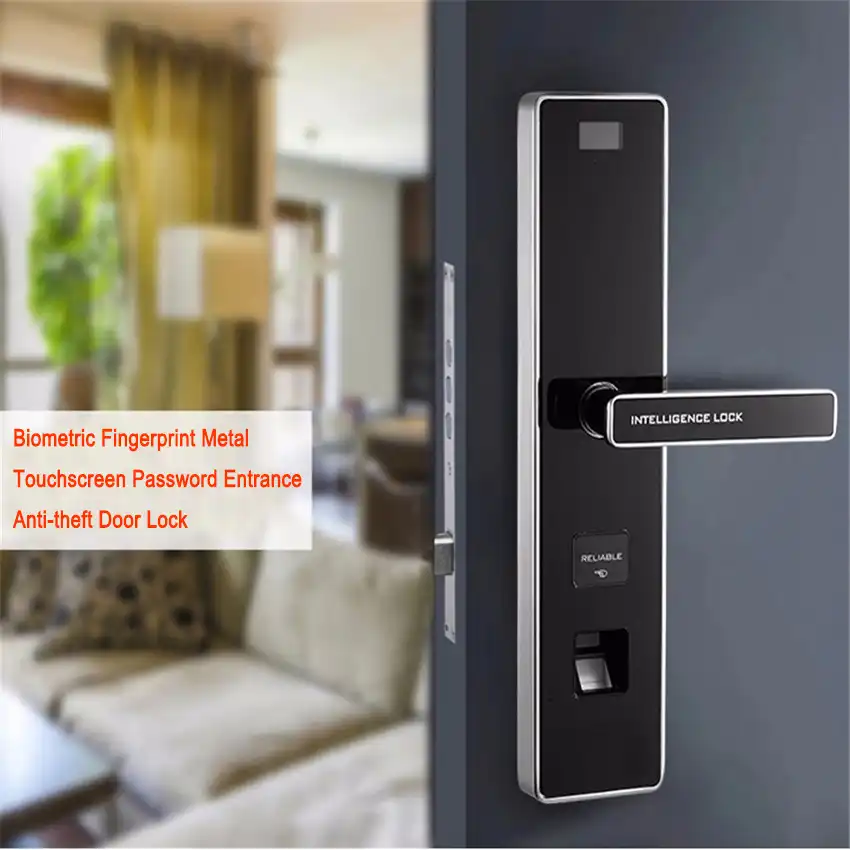 entrance door locks and handles