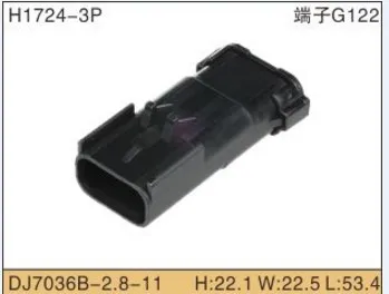 54200312