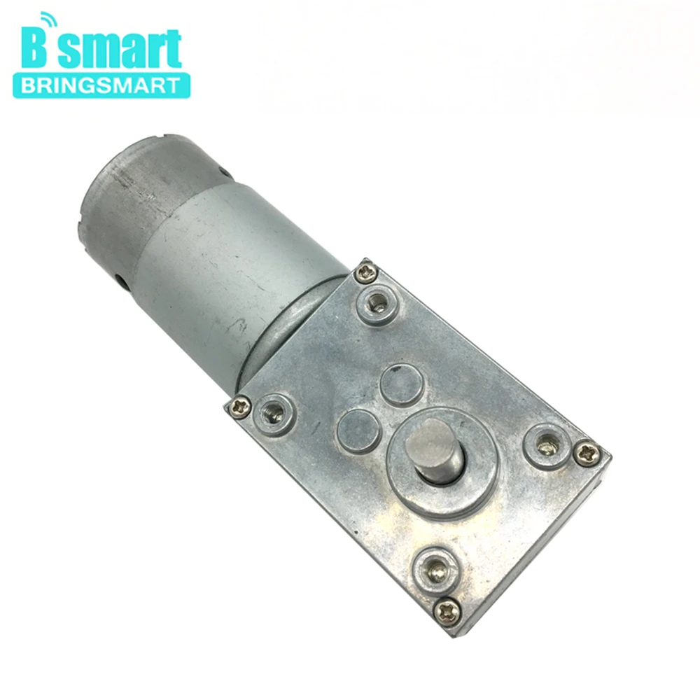 

Bringsmart 24V DC Motor Worm Gear Motor Electric Motor 12V A58SW-555 Self-locking Micro Reduction Gearbox for DIY Robot