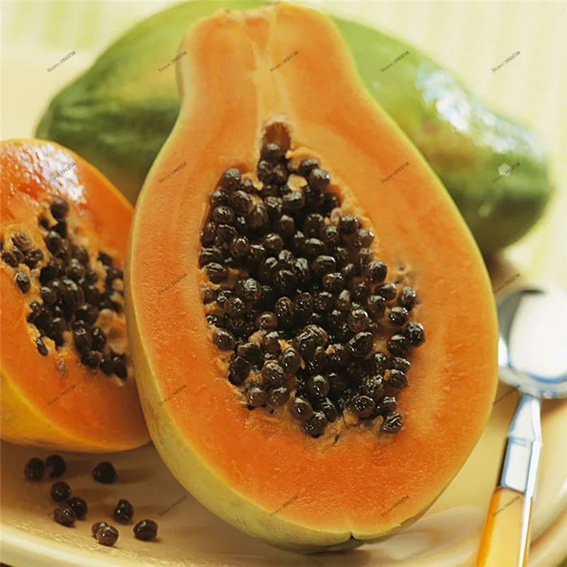 30pcs fruit gaint Carica Papaya ,melon tree ,self pollination,Bonsai tree for garden plants
