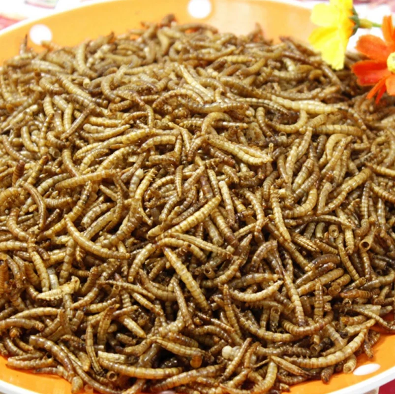100 г Сушеные Mealworms для аквариума корм рыб рептилия черепаха хомяк дикая птица