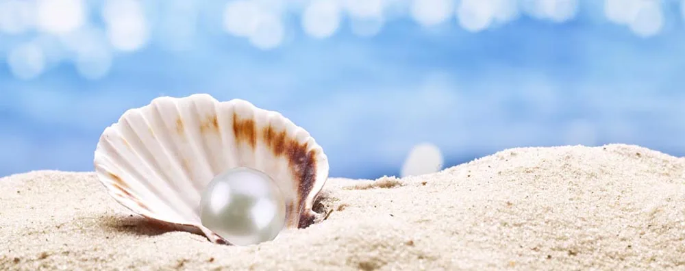 pearl oyster