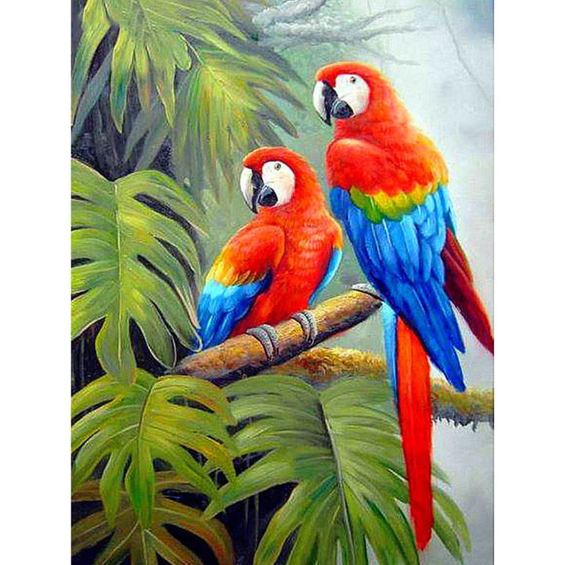 Попугай в джунглях рисунок