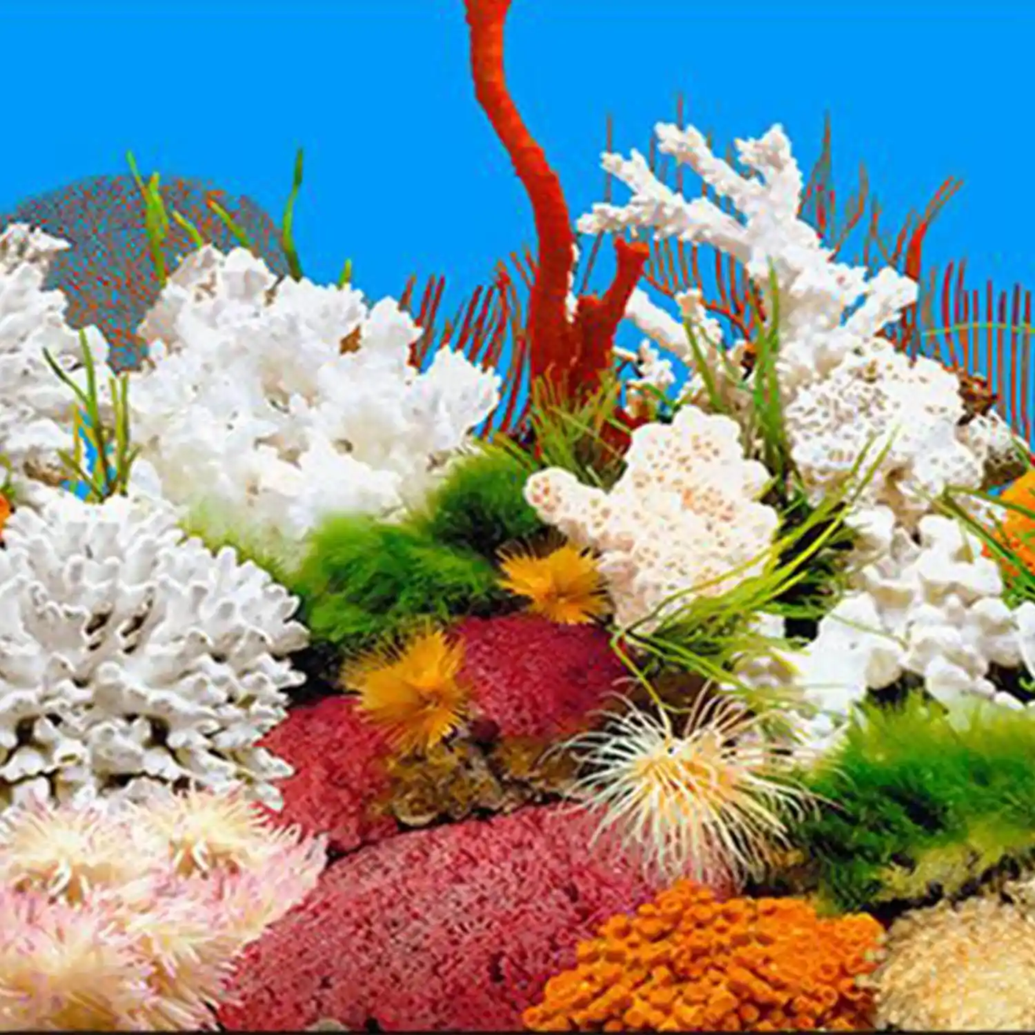 Hot Sale Aquarium background paper HD picture 3d three