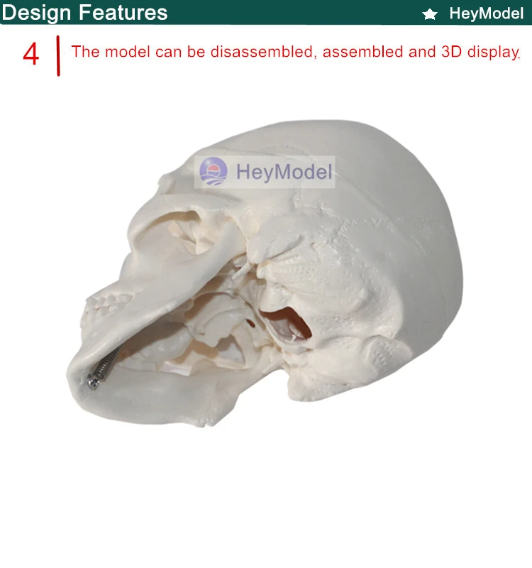 4 _