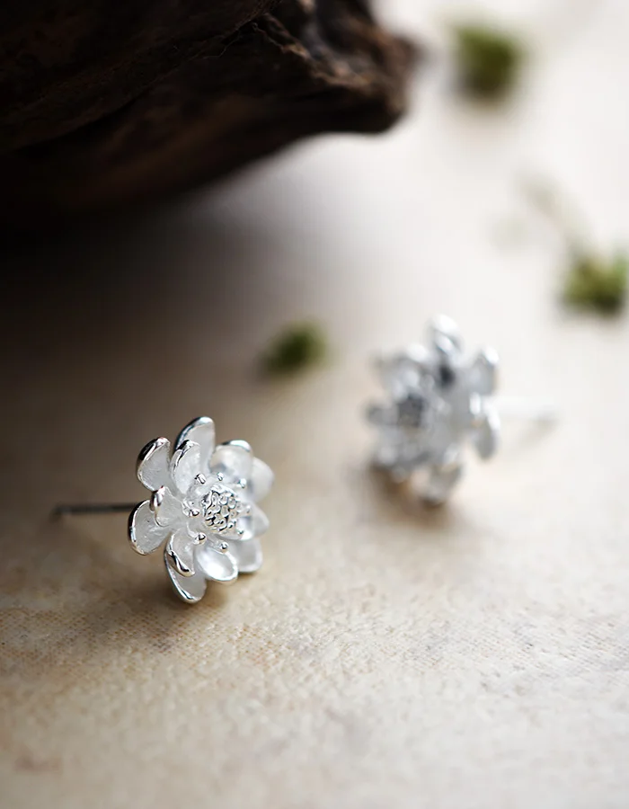 TB2EdTusYXlpuFjy1zbXXb_qpXa_!!1088305709