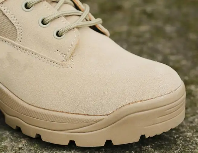 36020180316111459447