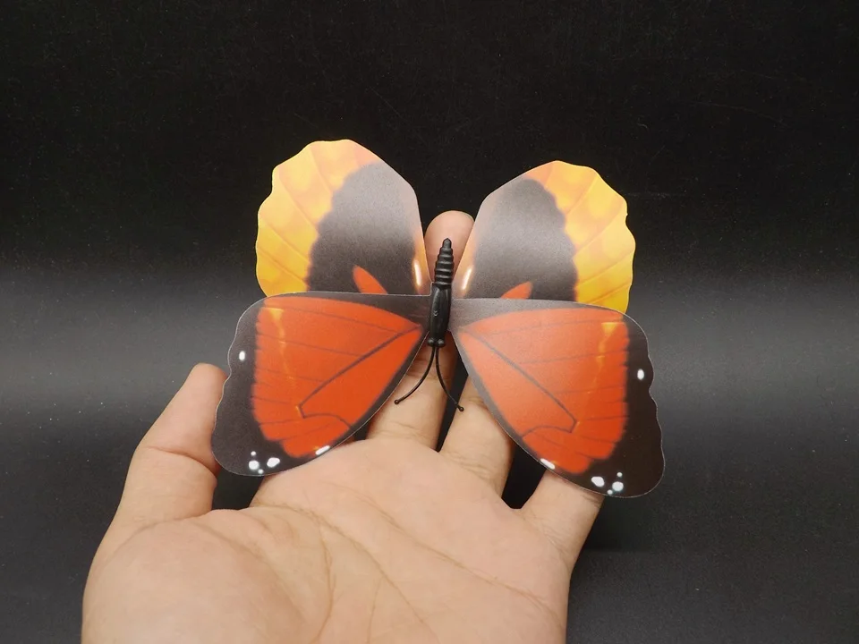 I227-Butterfly (3)