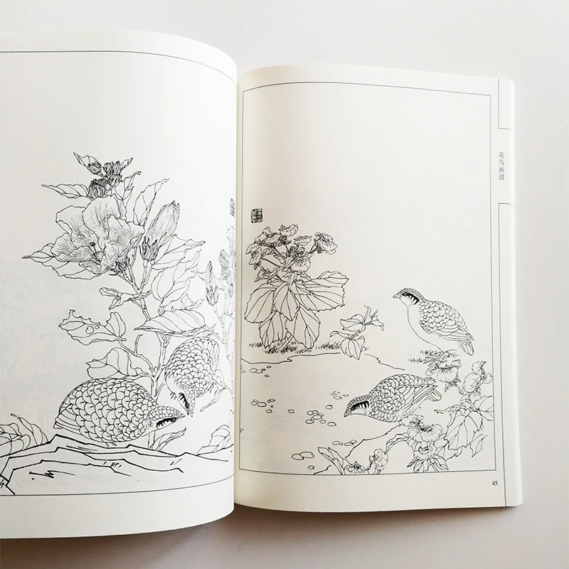 94Pages Flowers and Birds Painting Collection Art Book Coloring Book for Adults Relaxation and Anti-Stress Painting Book 94Pages Flowers and Birds Painting Collection Art Book Coloring Book for Adults Relaxation and Anti-Stress Painting Book