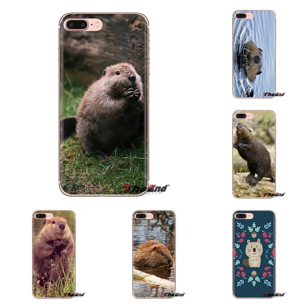 For iPod Touch Apple iPhone 4 4S 5 5S SE 5C 6 6S 7 8 X XR XS Plus MAX Beaver Zoo around The world Soft Transparent Shell Covers |