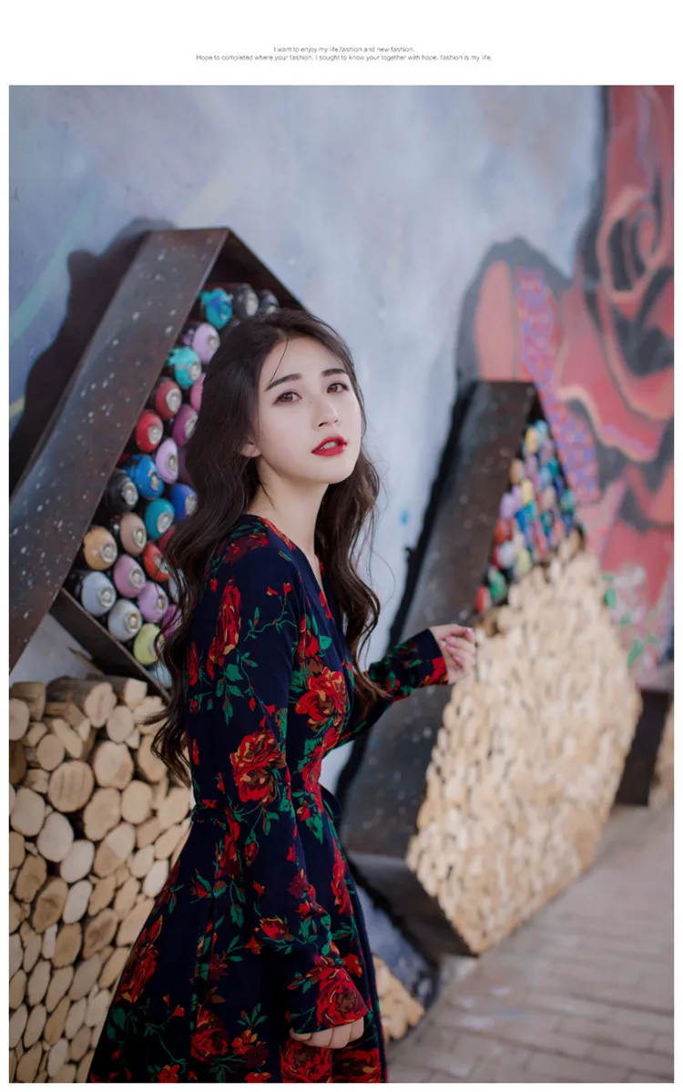 Stylish V-neck Long Sleeve Tie-waist Big Hem Print Dress (12)