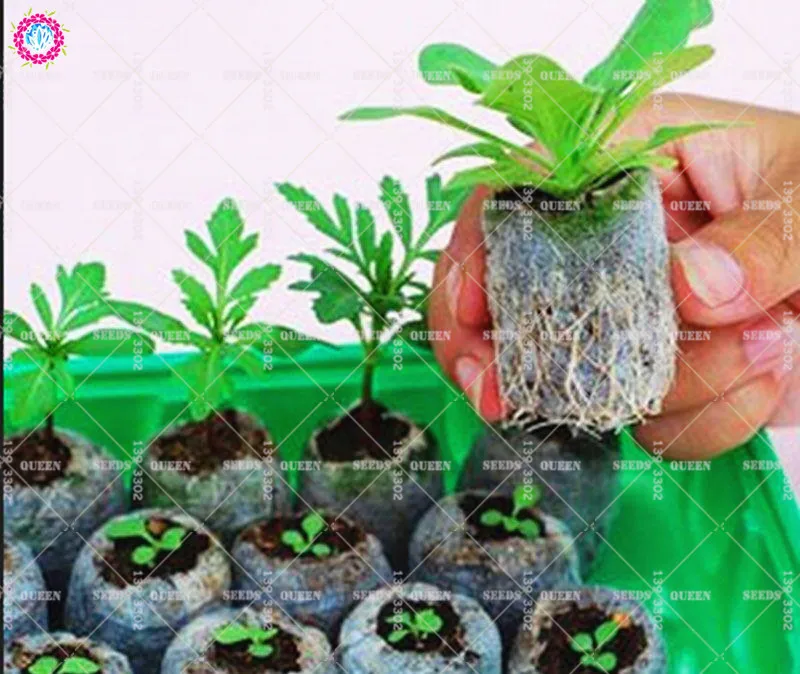 Peat Nursery Nutrition Block Vegetable Integrated Compression Nutrition Base For Home Garden Easy To Use Improve The Soil 1pcs