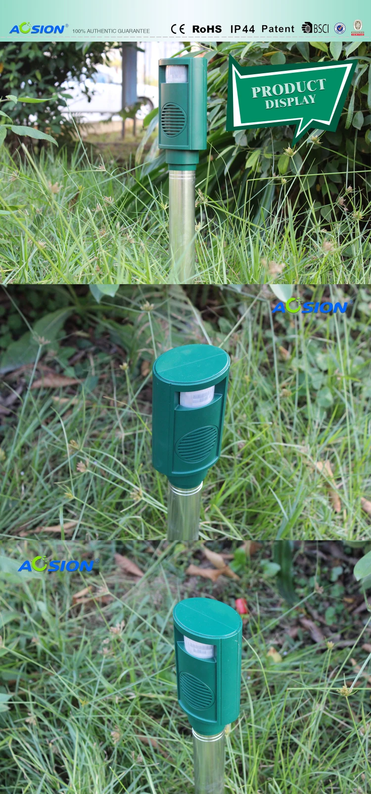 AN-B011-1_03