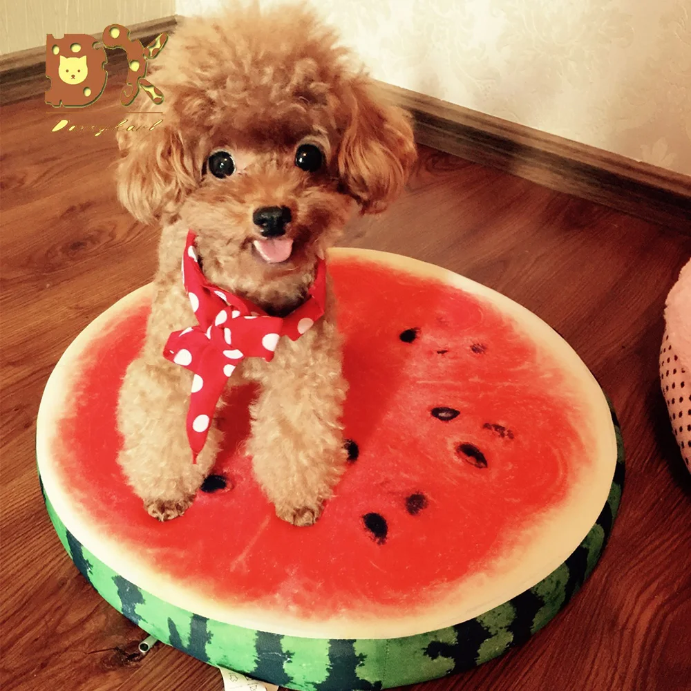 7702139810_361042724