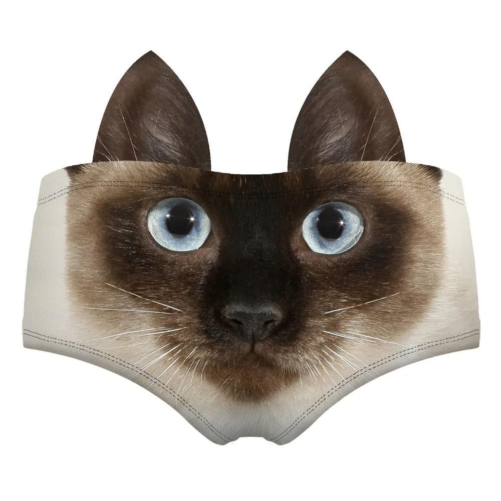 55117 siamese cat wiz back