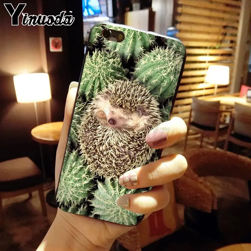 Hedgehog ride a bike Cute in Teacup Animal Art