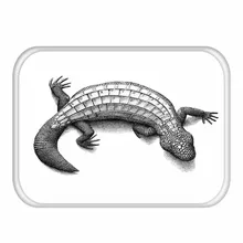 Welcome Area rug Bathroom Kitchen Carpets Animal Printed Doormats For Living Room Badroom Tapete Anti Sand Beach Mat Welcome Area rug Bathroom Kitchen Carpets Animal Printed Doormats For Living Room Badroom Tapete Anti Sand Beach Mat