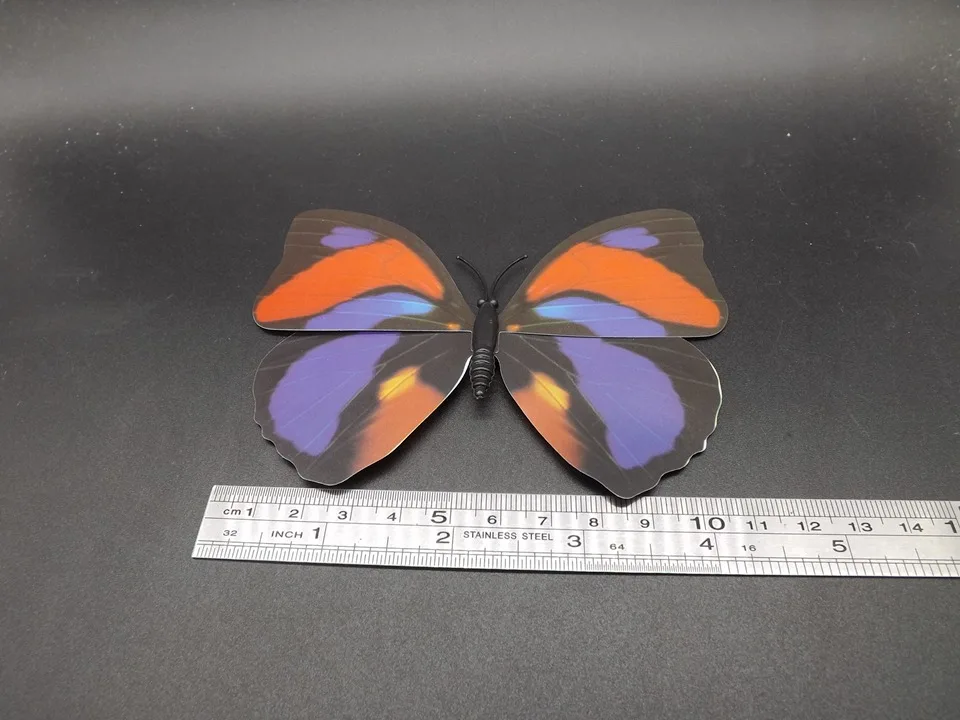 I240-Butterfly (9)