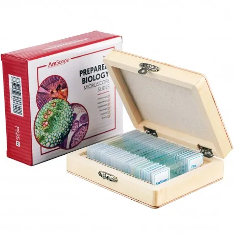 microscope-prepared-slides-PS25-1.jpg