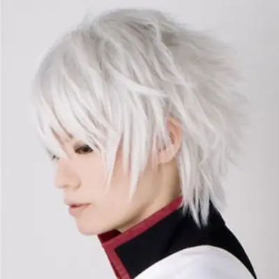 Cool Man Boys Short Hair Sexy Male Cosplay Anime Wigs Silver White