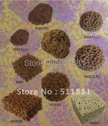 Фото Губка NCCTEC ручной работы для покраски стен 4 дюйма 110 мм 110*110*70 мм sponge filter fish tank grass Губка NCCTEC ручной работы для покраски стен 4 дюйма 110 мм 110*110*70 мм sponge filter fish tank grass